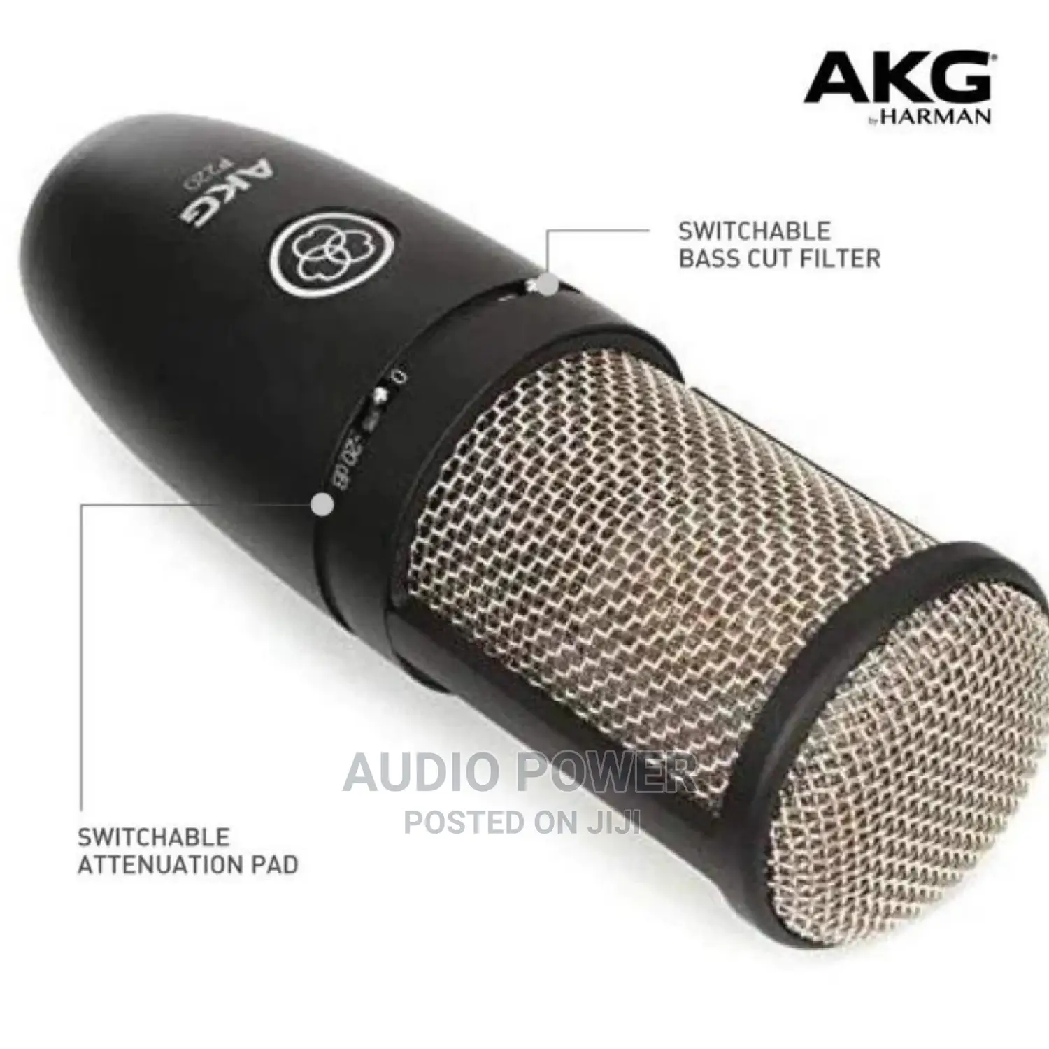 Akg Studio Condenser Microphone P220