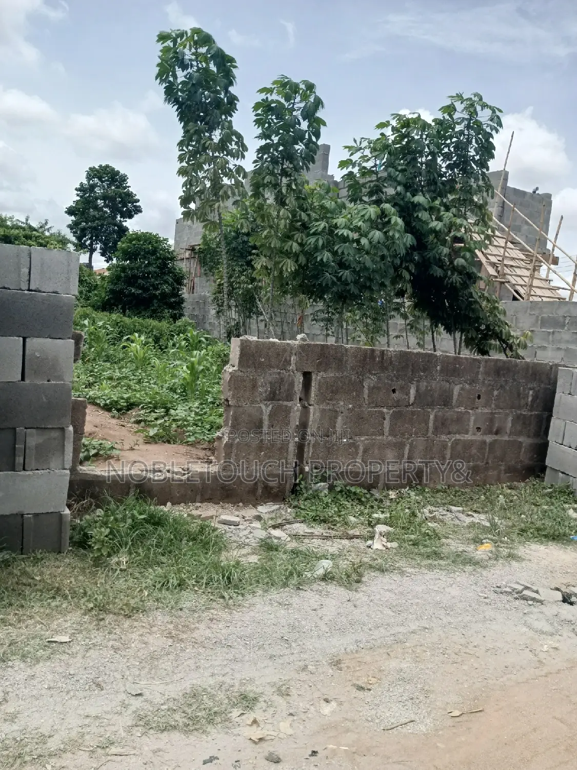 Standard Full Plot of Land Nice Neighborhood at Ayobo Ipaja