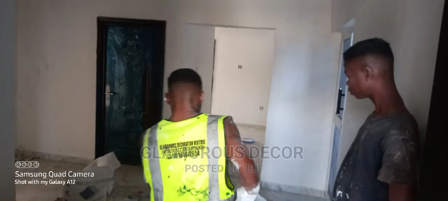 Proffesional House Paintings