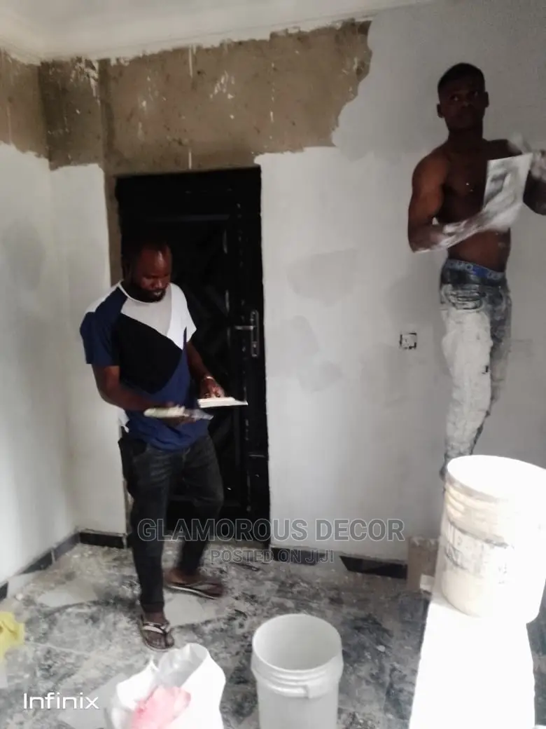 Proffesional House Paintings