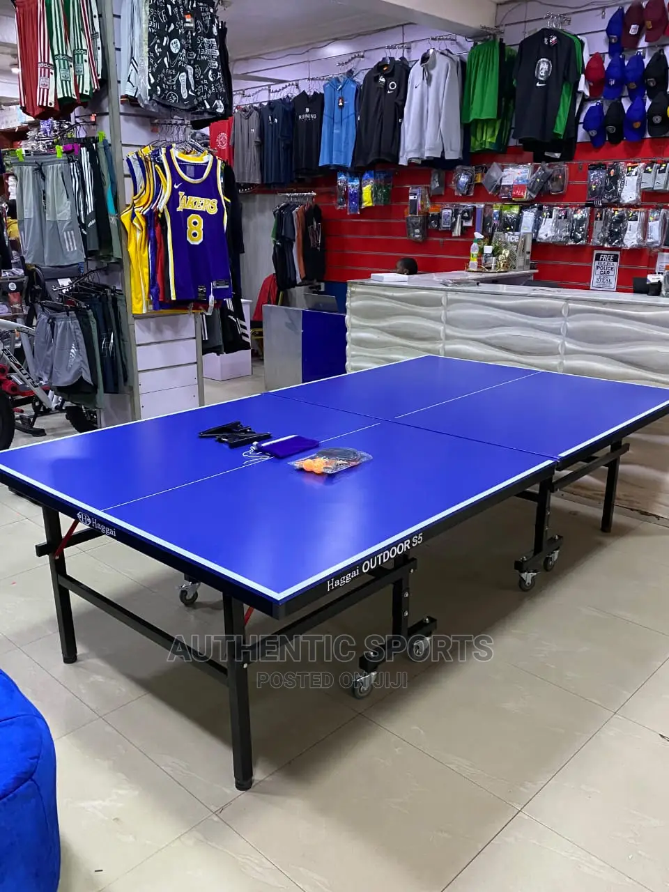 Hagai Waterproof Outdoor Table Tennis Board With 4bats