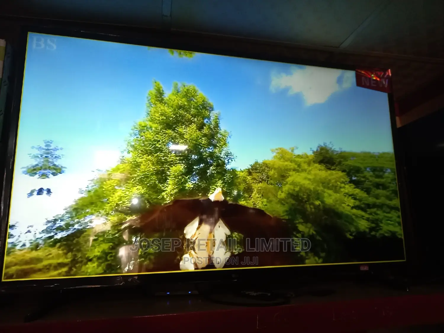LG 65 Inches Original UHD TV Stream Smart.TV+Netflix,