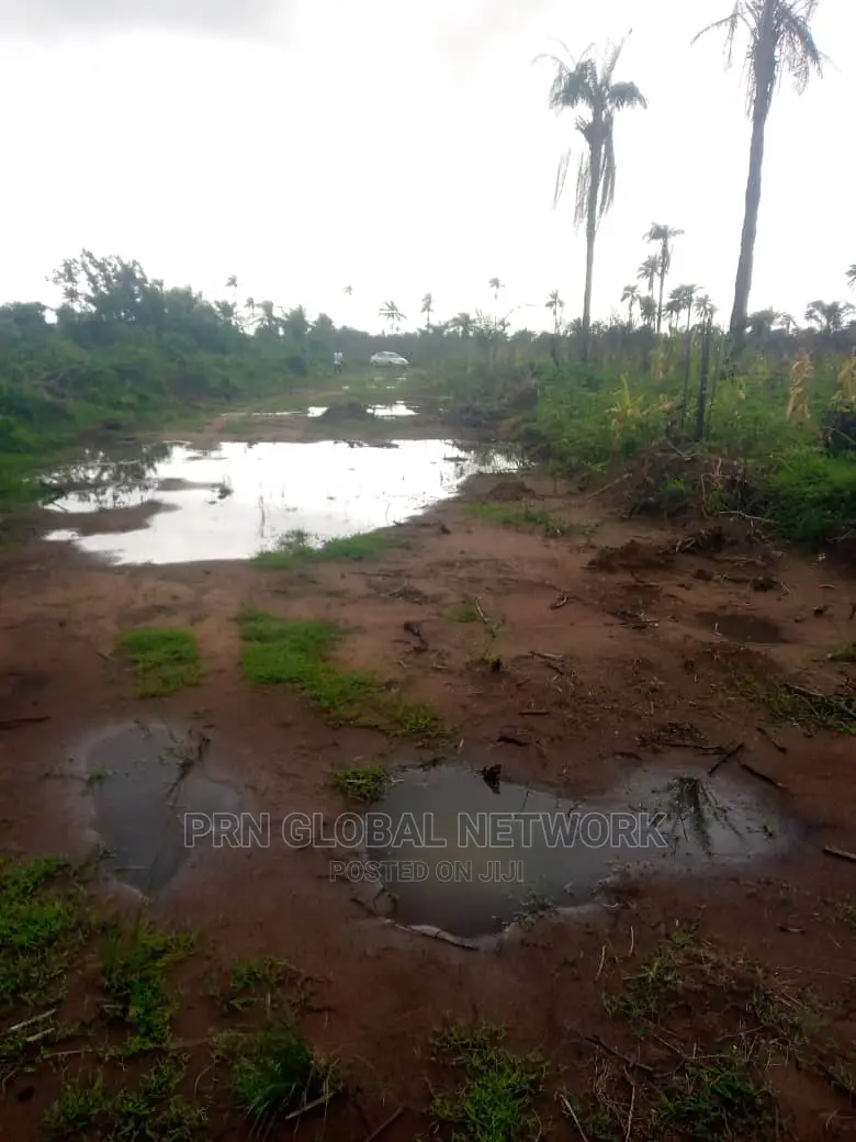 10 Plot of Land Available