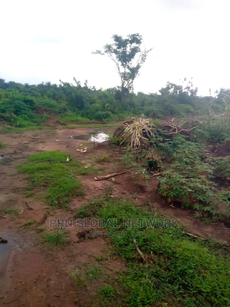10 Plot of Land Available