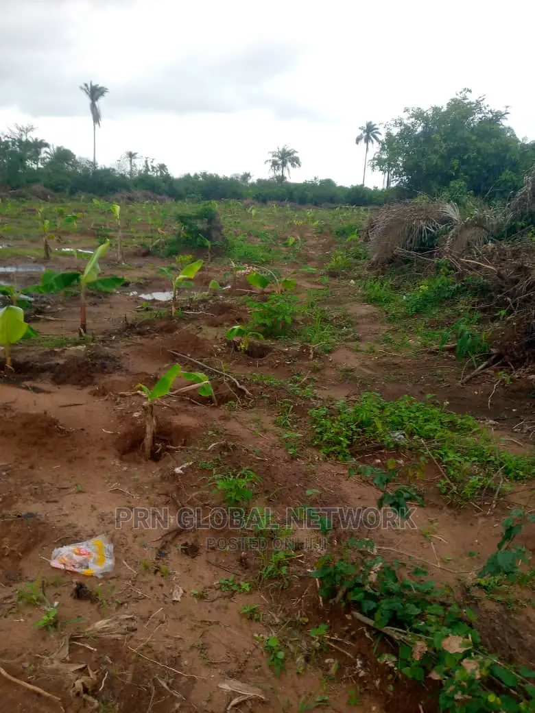 10 Plot of Land Available