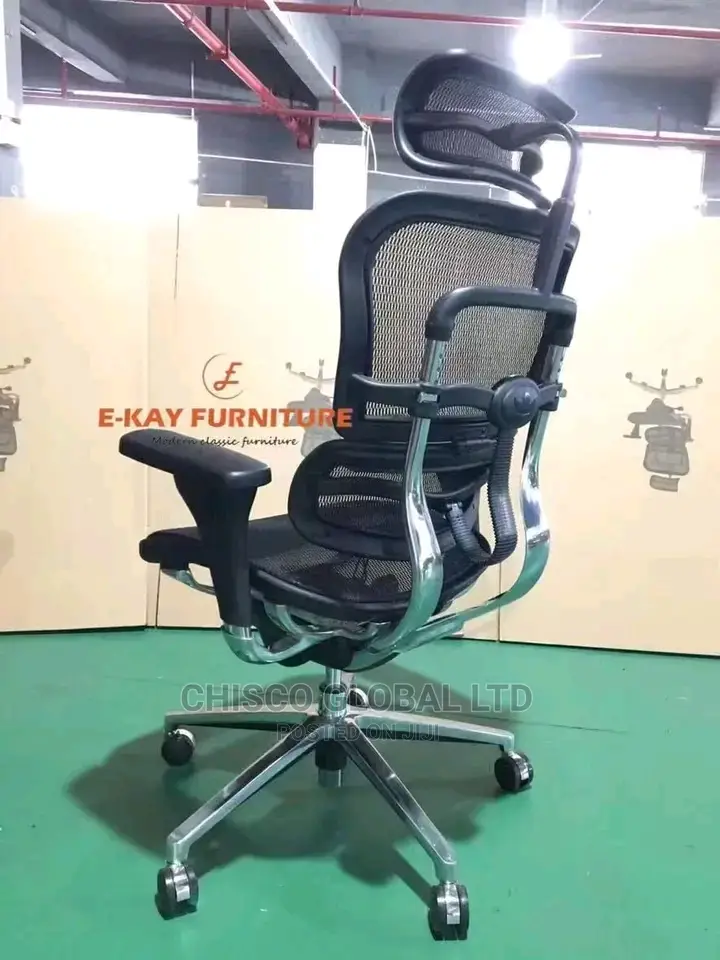 Office Chair (Orthopedic)