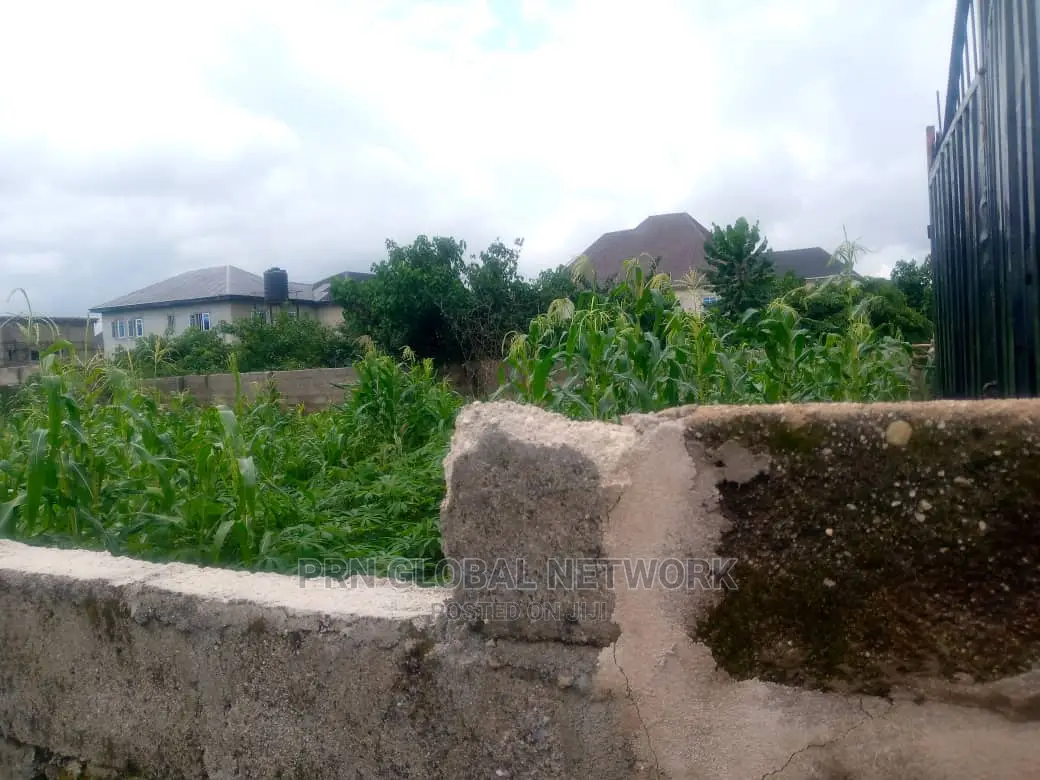 One Plot of Land
