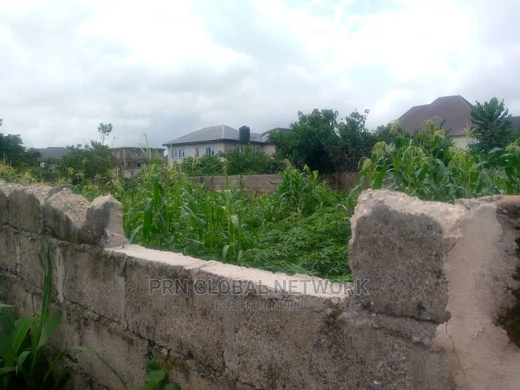 One Plot of Land