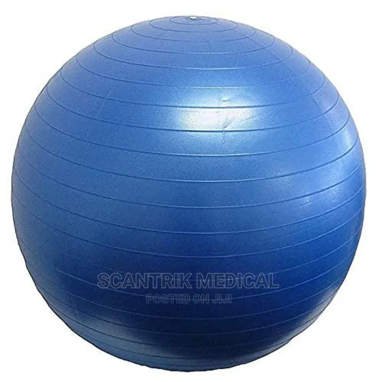 Thickened Stability Balance Ball Pilates Physical