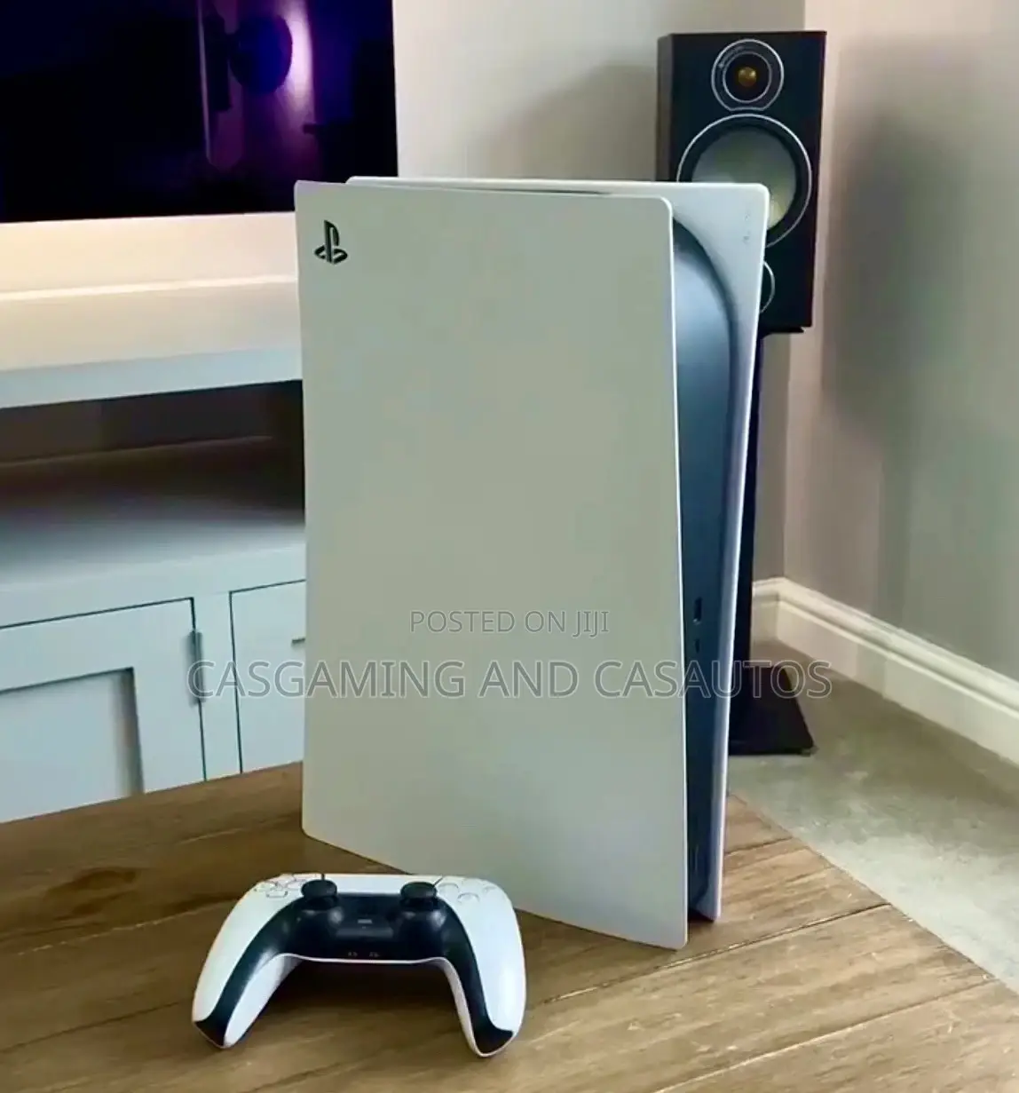 Standard Playstation 5 All Accessories(Us)
