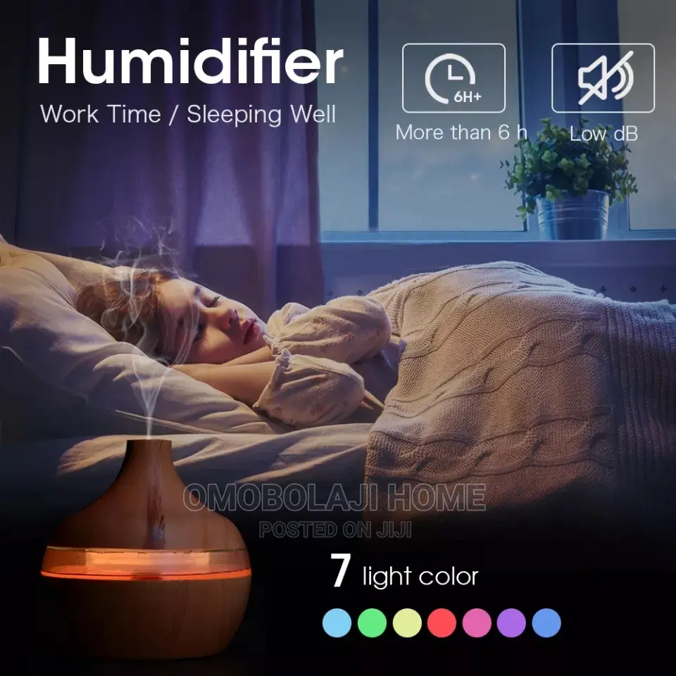 300 Ml Humidifier