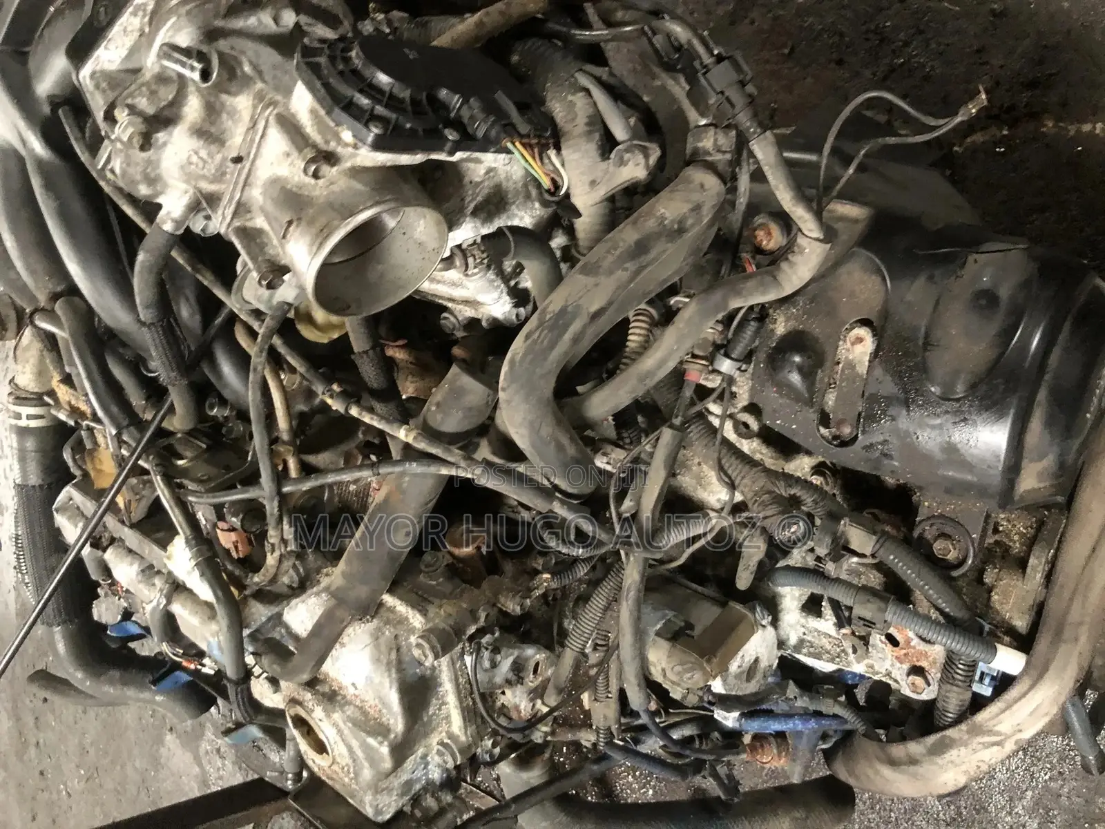 RX330 Lexus Engine