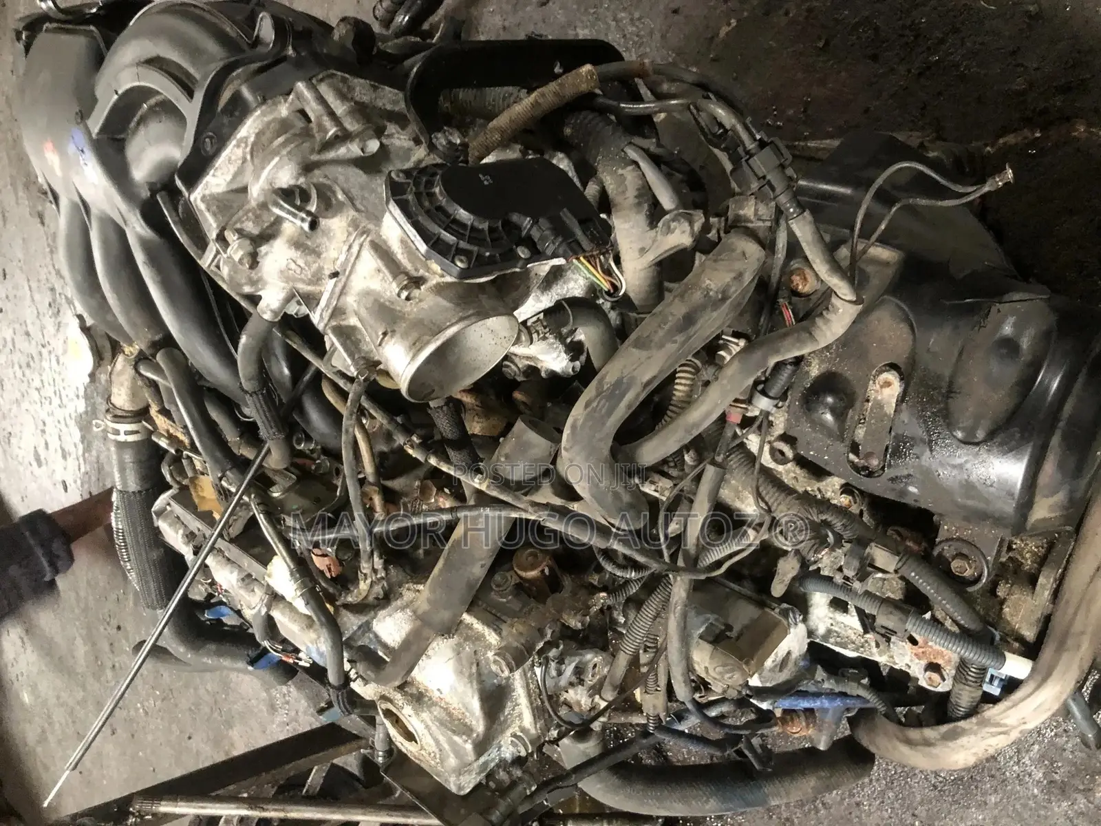 RX330 Lexus Engine