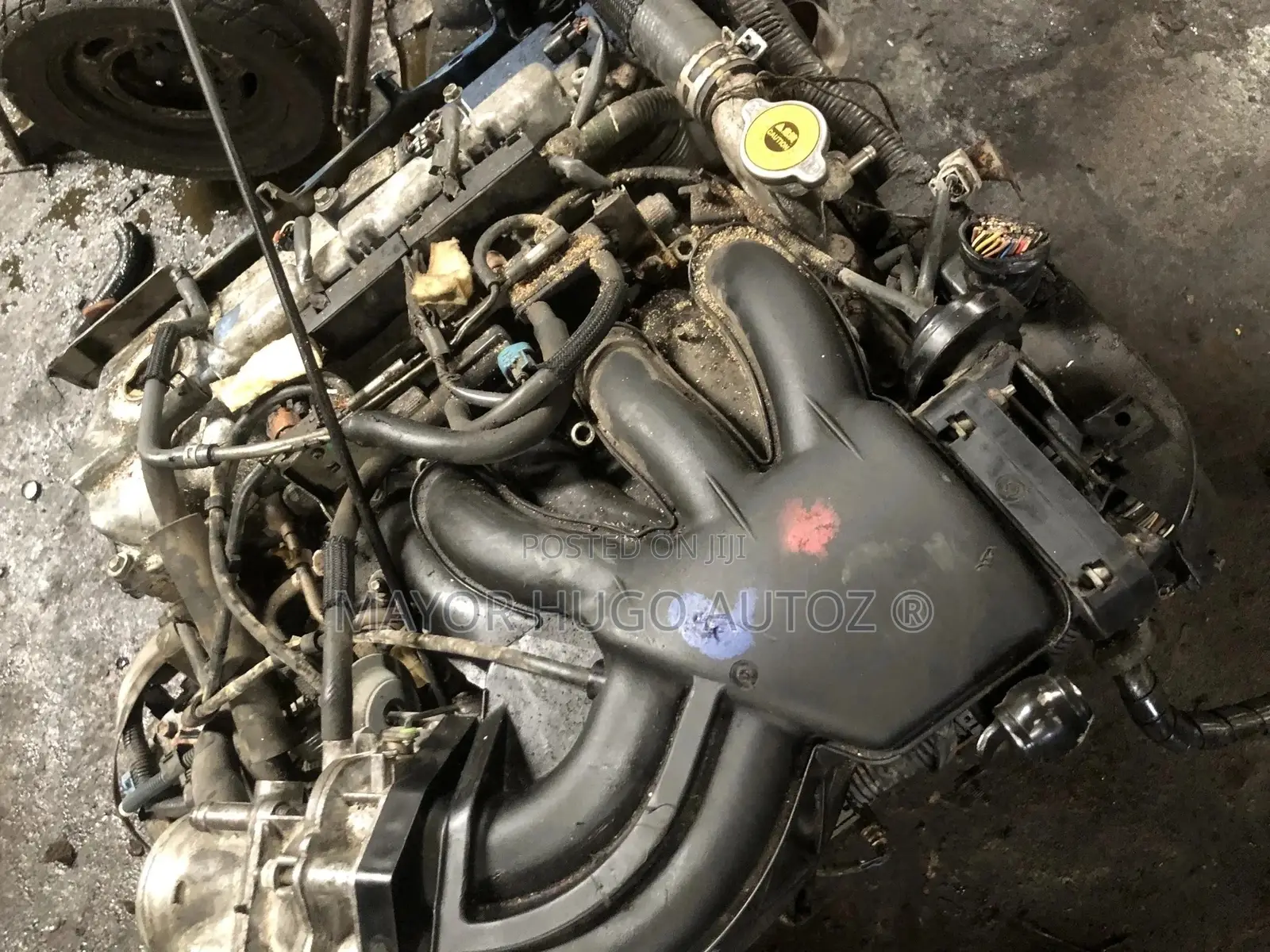 RX330 Lexus Engine