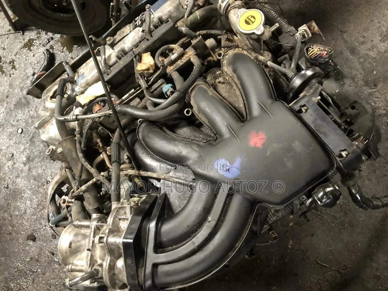 RX330 Lexus Engine
