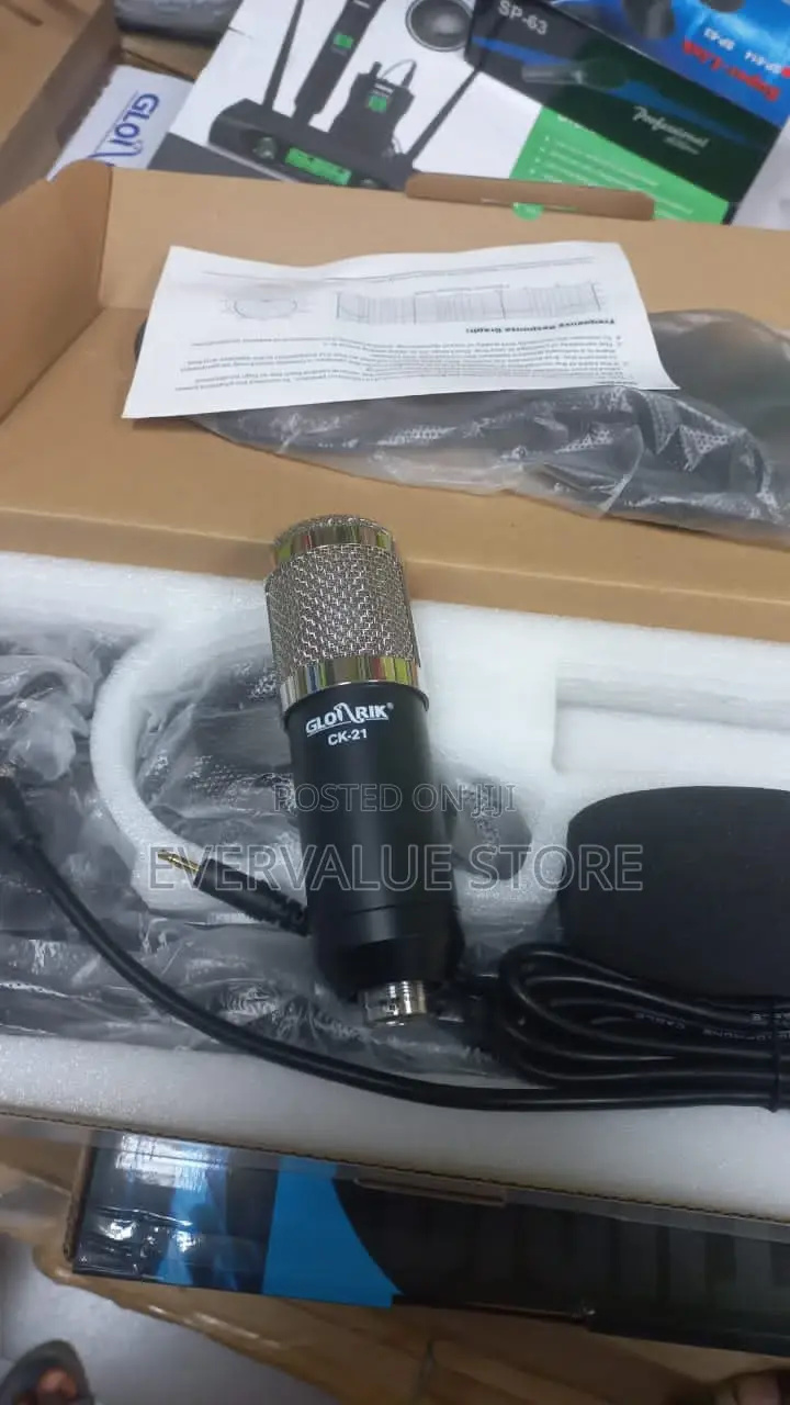 Studio Condenser Microphone With Pop Filter