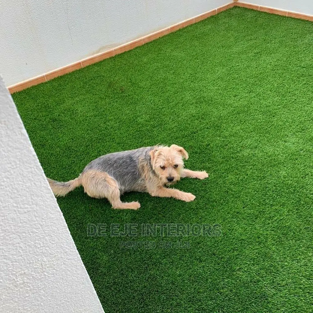 Artificial Carpet Grass for Bulk Buyers Distributors