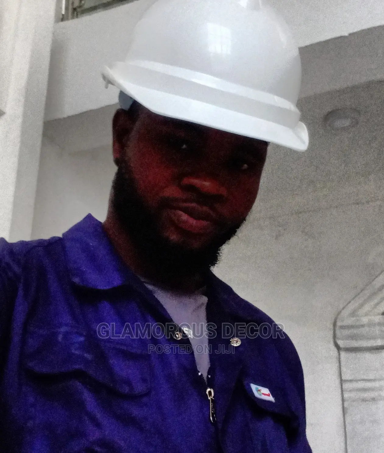 Proffesional Wall Screeding/Executive House Paintings